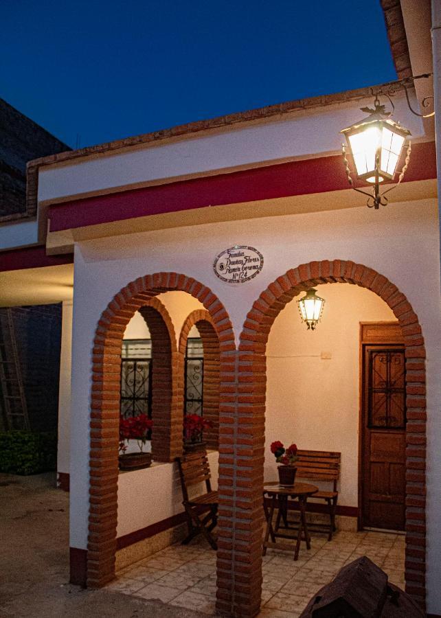 Villa Flores, Casa En El Centro De 마스코타 외부 사진