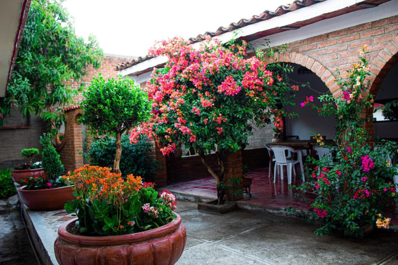 Villa Flores, Casa En El Centro De 마스코타 외부 사진
